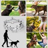 JIPIMON Dog Training Collar, Adjustable Stainless Steel Collar with Quick
