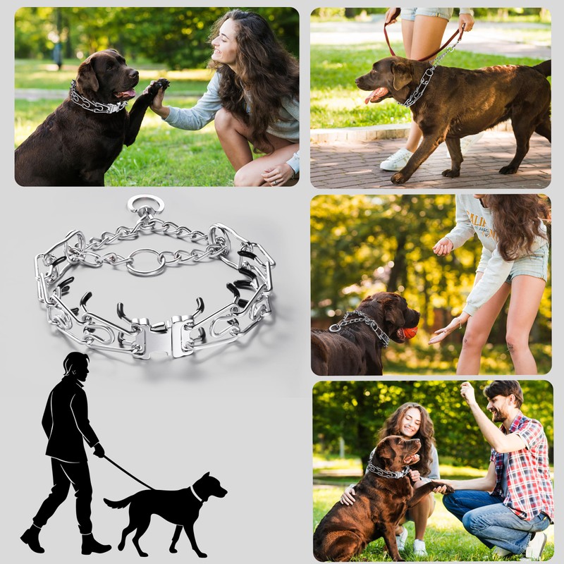 JIPIMON Dog Training Collar, Adjustable Stainless Steel Collar with Quick
