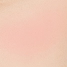 ABOUT_TONE Fluffy Wear Blusher 6 Colors  - 05 DAILY CORAL