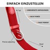 TANGCHAO Elastic Braided Belt for Men & Women， No Hole