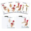 Hand and Foot Support Card Chart with Clip Board Set