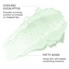 FEMMUE Lip Sleeping Mask, MB (Mint Bliss), Lip Care, Moisturizing,