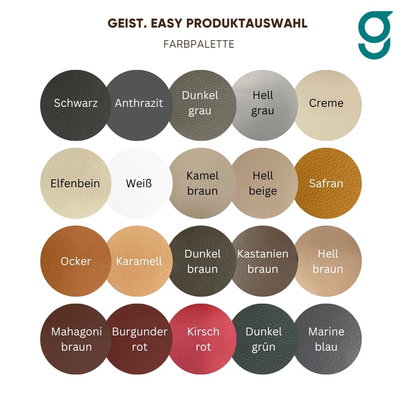 Geist. Easy DIY Colour Restorer for Leather & Vinyl (Light
