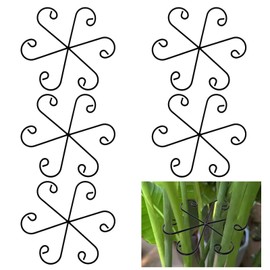 KKONHII 5PCS Plant Stem Support, 6 inches Large Stainless Steels Durable Grapple Holder for Monstera & Climbing Plants for Growing Vertical Bamboo Clamp Set for Leaf Stabilization and Support
