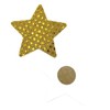 FoxYaye Gold Star Nipple Pasties - Sexy Raunchy Covers, Explicit