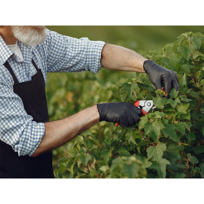 Nitrilhandschuhe puderfrei schwarz black Tiga 100 Stück Größe: Medium Einmalhandschuhe