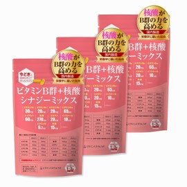 ビタミンB群+核酸 シナジーミックス【90粒入】3袋「ナイアシン」「核酸」強化配合/B1,B2,B6,B12/栄養のプロがプロデュース・おすすめのサプリ