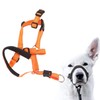 Dog Head Collar, Breathable No Pull Dog Leash Dog Mouth