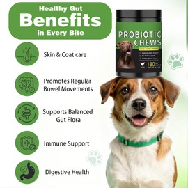 Probiotics for Dogs - 180 Dog Probiotics Chews with 5 Enzymes & 4 Prebiotics for Digestive and Gut Health - Diarrhea & Bowel Support, Yeast Balance, Immunity, Allergies & Itchy Skin (Chicken)