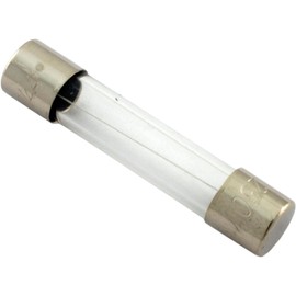 Pentair Fireman Switch Fuse, MasterTemp/Max-E-Therm, 1.25A