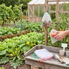 Garosa 50 Unidades Bolsas de Malla Reutilizables para Protección Frutas