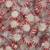 FirstChoiceCandy Starlight Mint Hard Candy Disc (2 Pound (Pack of
