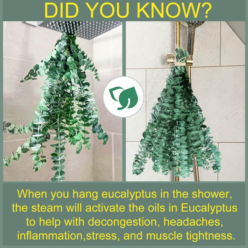 FUKUOKA Bulk Package 30 PCS Real Dried Eucalyptus Plant Large
