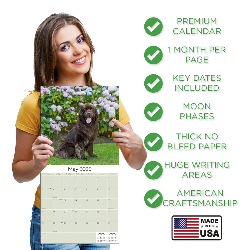 Newfoundland Calendar 2020 - Dog Breed Calendar - Wall Calendar