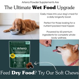 Adult Dog Powder Supplement & Food Topper – 46 Ingredients for Gut, Immune & Brain Health – Daily Longevity Multivitamin for Whole Body Wellness | 30 Scoops