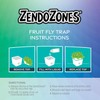 ZendoZones Succulent Fruit Fly Trap – Joyful Janet Design with