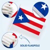 Anley Puerto Rico Mini Flag 12 Pack - Hand Held