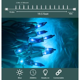 HISHINY Christmas Lights 100 Count Blue Christmas Tree String Lights with Green Wire for Outdoor Indoor Christmas Decorations Wedding Decorations Valentines Day Decor,UL Certified (21feet)