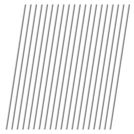20 Pezzi Tondino Acciaio Inox, Aste Rotonde in Acciaio Inox, 304 Acciaio Inox Acciaio Solido Rotondo Asta, 2mm*300mm Aste di Acciaio Inox per Fai da Te Soggetti