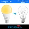 3 Way LED Light Bulbs 4 Pack, 3 Way Light