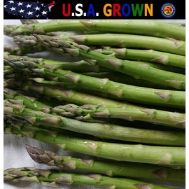 The Gardening World 100 Organic MARY WASHINGTON Asparagus Seeds Heirloom