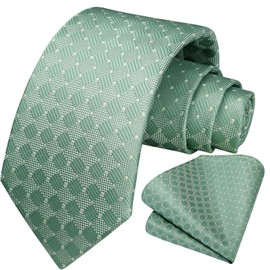 HISDERN Sage Green Ties for Men Handkerchief Classic Formal Green Necktie and Pocket Square Business Wedding Party