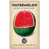 The Little Veggie Patch Co Watermelon Heirloom Seeds, 1 pack
