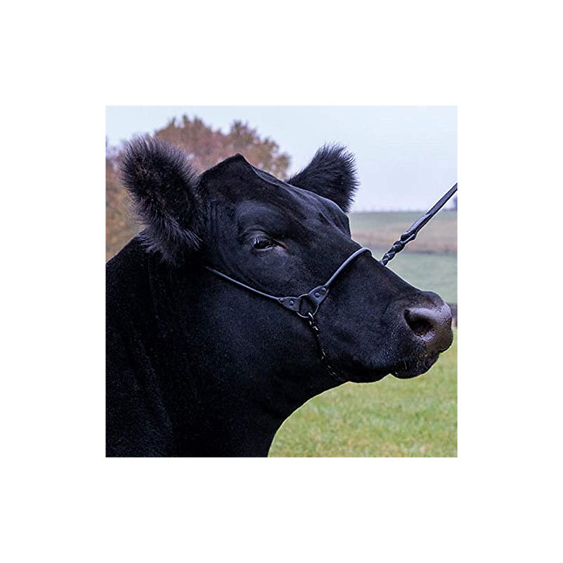 Sullivan Supply Incognito Show Halter Brown L