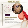 Concealer Brush 270 Slant Head Pencil Tip & Dual-Ended Sponge