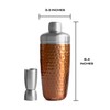 S'well Stainless Steel Shaker Set with Jigger, 18oz, Dipped Metallic,