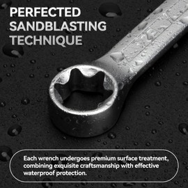 DISEN 6-Piece E-Torx Wrench Set, Double Box End Wrench Set, CR-V Steel, Spanner Set Including E6*E8, E7*E11,E10*E12, E14*E18, E16*E22 and E20*E24