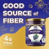 ChocZero Keto Blueberry Fruit Spread, No Added Sugar, Low Carb,