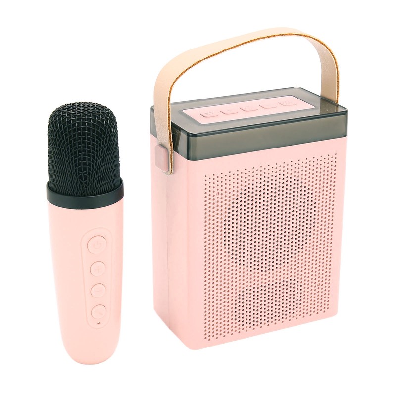 Karaoke Machine Set with RGB Light Rechargeable Bluetooth Speaker with