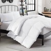Mercantile Soft and Natural Breathable Down Feather Fill Bedding Comforter