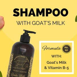 Golden Goat Farms Cappuccino Scented Hair Shampoo and Conditioner Set with Goat Milk, 16 Oz Shampoo - 16 Oz Conditioner