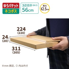 Earth Cardboard ID0412 Catpos Cardboard Box, A4, Set of 30, Nekoposu Cardboard Box, 1.0 inches (2.5 cm), Small Items, Packaging