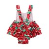 Baby Girl's Floral Print Ruffles Romper Summer Clothes with Headband