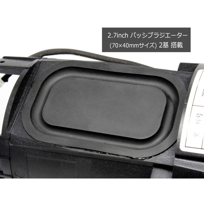 American I Brand Smart Speaker Assembly [Full Range & Tweeter