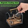 Jumping Spider Enclosure, Insect Terrarium, Praying Mantis Habitat, Reptile Enclosure,Spider