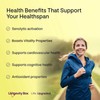 Longevity Box Longevity Box Fisetin 100mg x 60 Capsules -