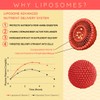 WELL ACTUALLY Liposomal Vitamin C 1000mg - High Bioavailability Powerful