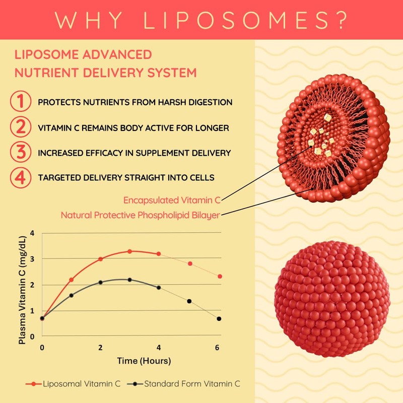 WELL ACTUALLY Liposomal Vitamin C 1000mg - High Bioavailability Powerful