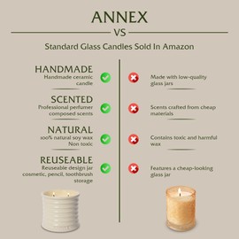 Scented Winter Balsam Fir Candles, Luxury Gifts for Women & Men, Home Large 8oz Candels- Aromas of Rose, Pine, Tea Coffee Thymes in Red, Pink, Cotton Wicks, Natural Soy Wax, No Beeswax – Annex Candle