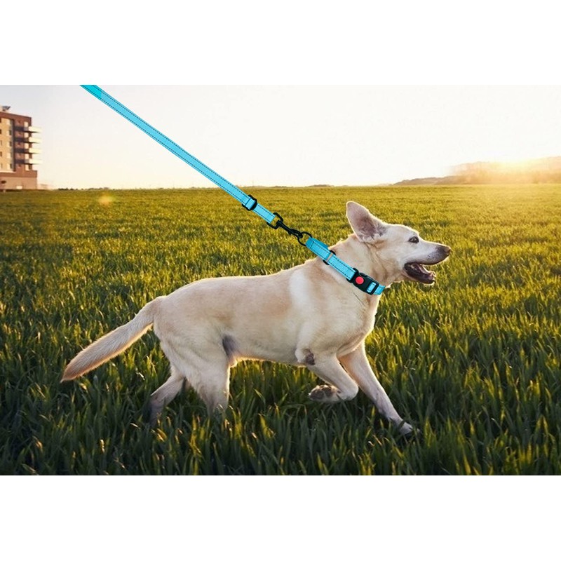 Martingale Dog Collar and Leash Set Martingale Collars for Dogs