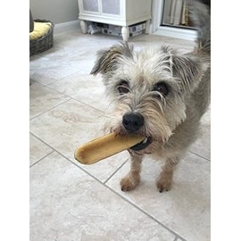 the K2 Yak chew the K2 Yak chew Dog Treats 100% Natural and Long Lasting (Large x 2 (two))