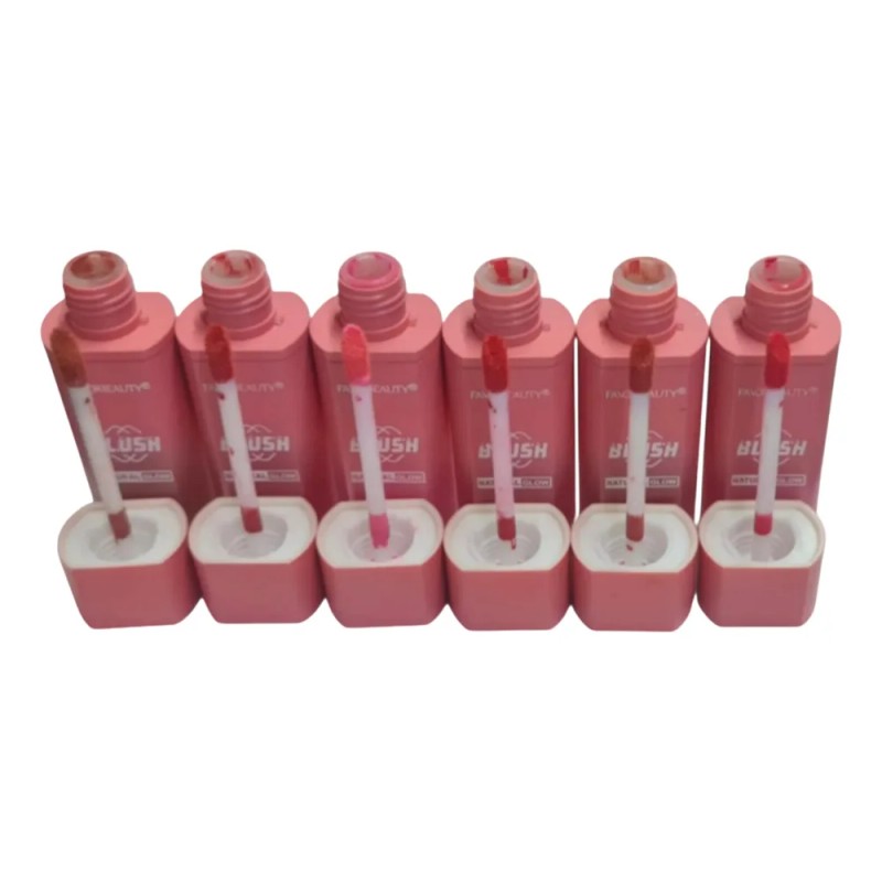 Blush Y Labial Waterproof 6 Tonos Rosas Varios