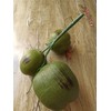 Zzooi Artificial High Simulation Coconut Fake Cokernut 1 Bunch