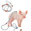 Pig Harness & Leash, Escape Prevention Adjustable Rope, All in