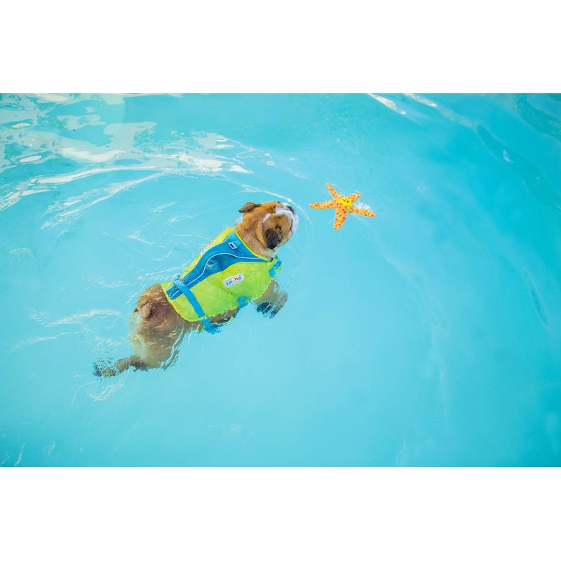 Outward Hound Floatiez Starfish Floating Dog Toy, Medium