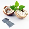 Stainless Steel Coconut Scraper Tool, Manual Grater with Serrated Blade